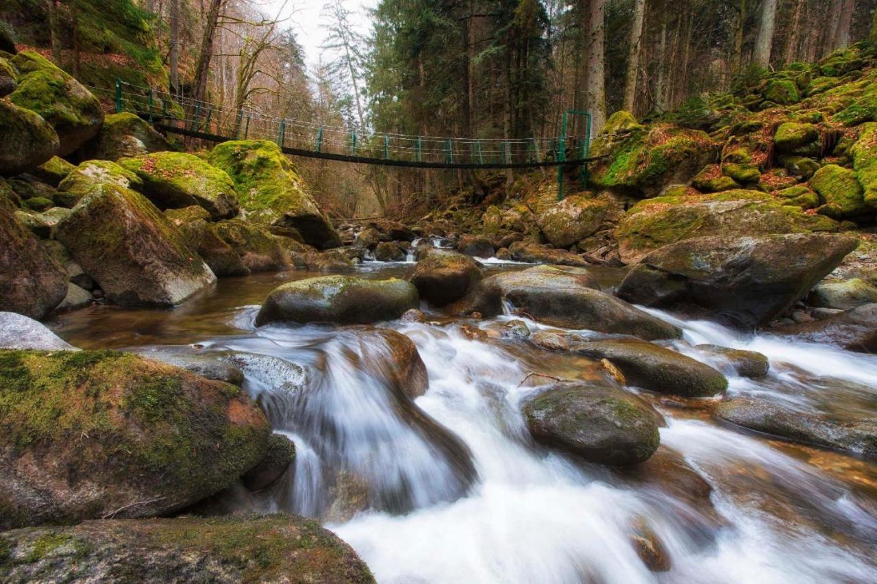 Ferienwohnung Geyersberg Inklusive Aktivcard Bayerischer Wald Freyung Dış mekan fotoğraf